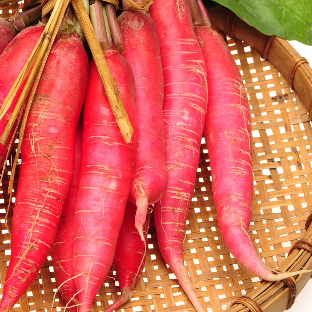 Rädisa - Candle of Fire - Kultursort