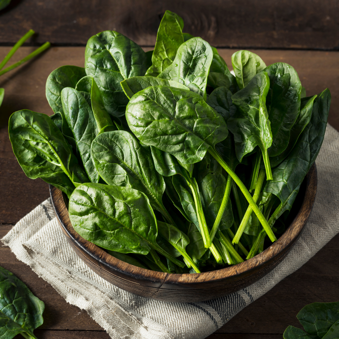 Spenat - Bloomsdale Long Standing