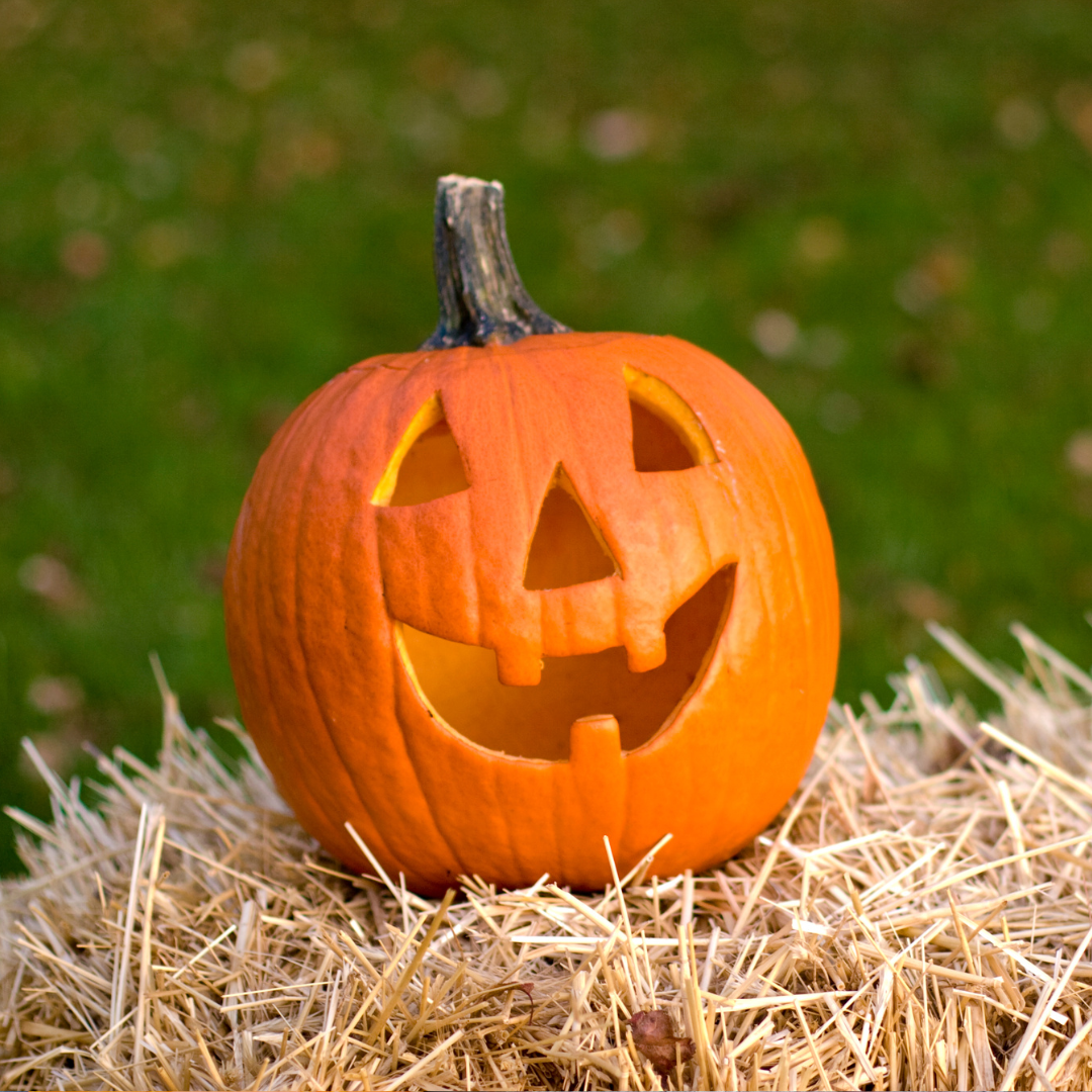 Ekologisk Pumpa - Jack O Lantern - Halloweenpumpa