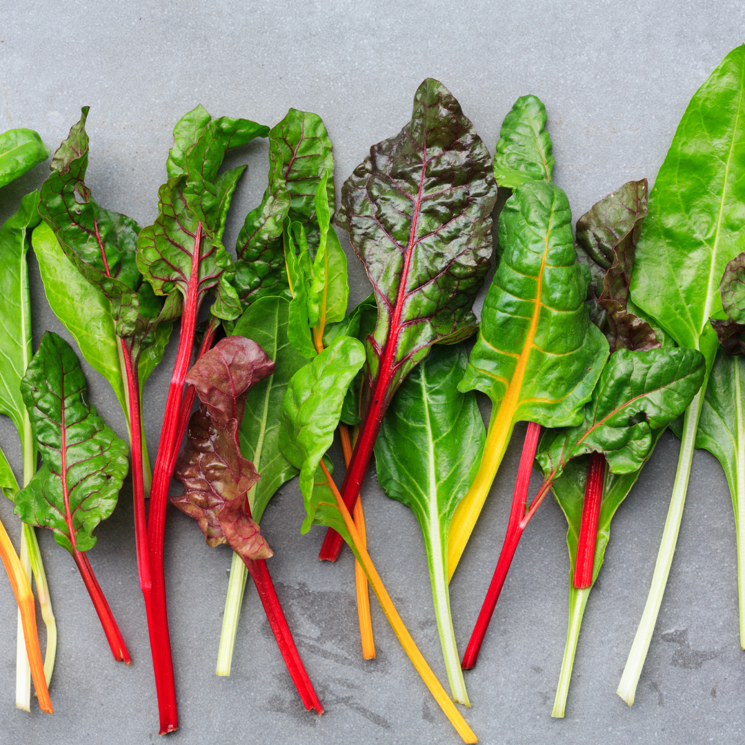 Ekologisk Mangold - Bright Lights