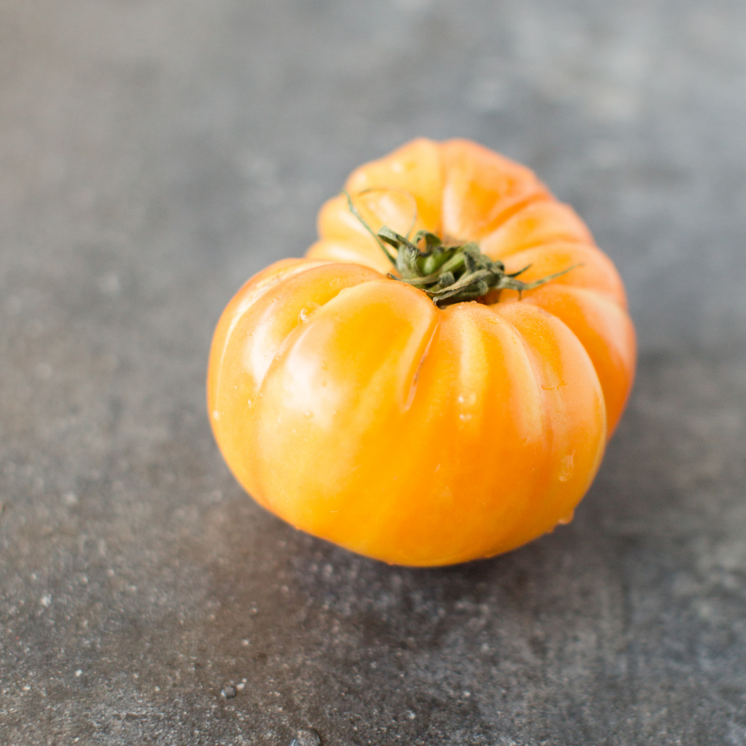 Ekologisk Bifftomat - Old Yellow Candystripe - Kultursort