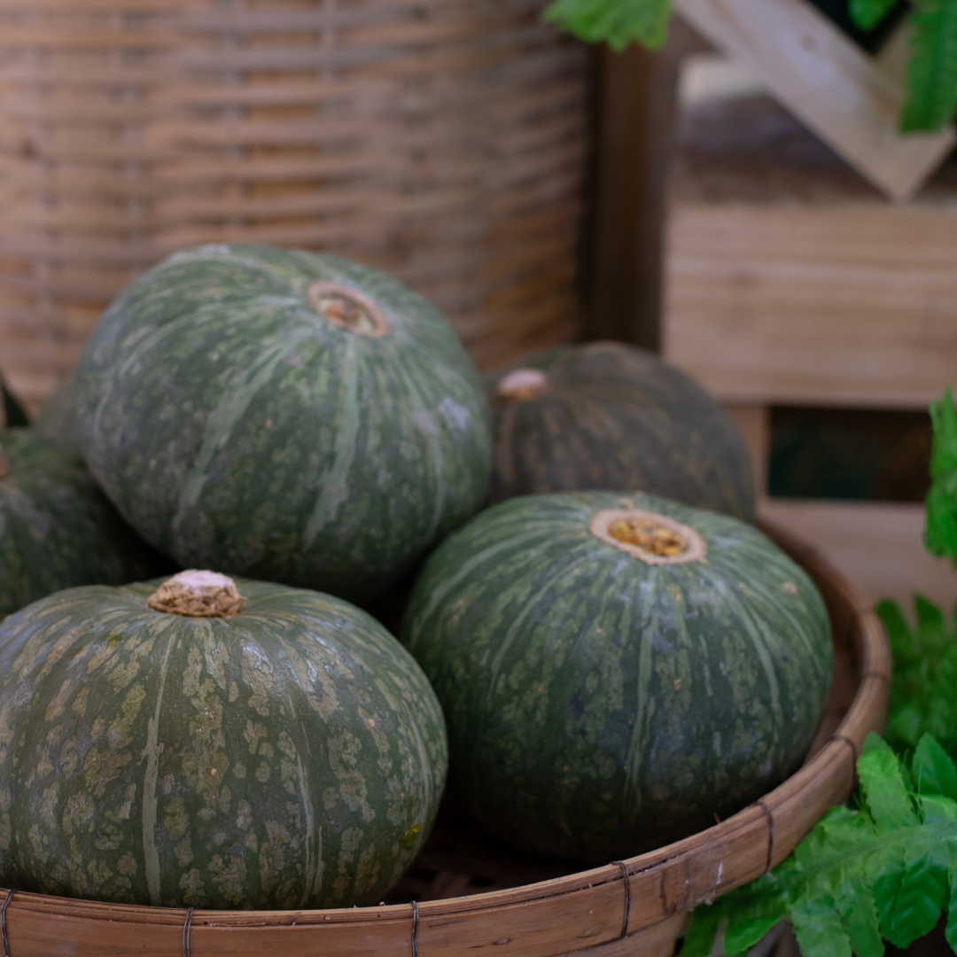 Ekologisk Vintersquash - Buttercup