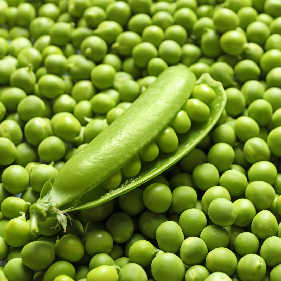 Ekologisk Märgärt - Rondo