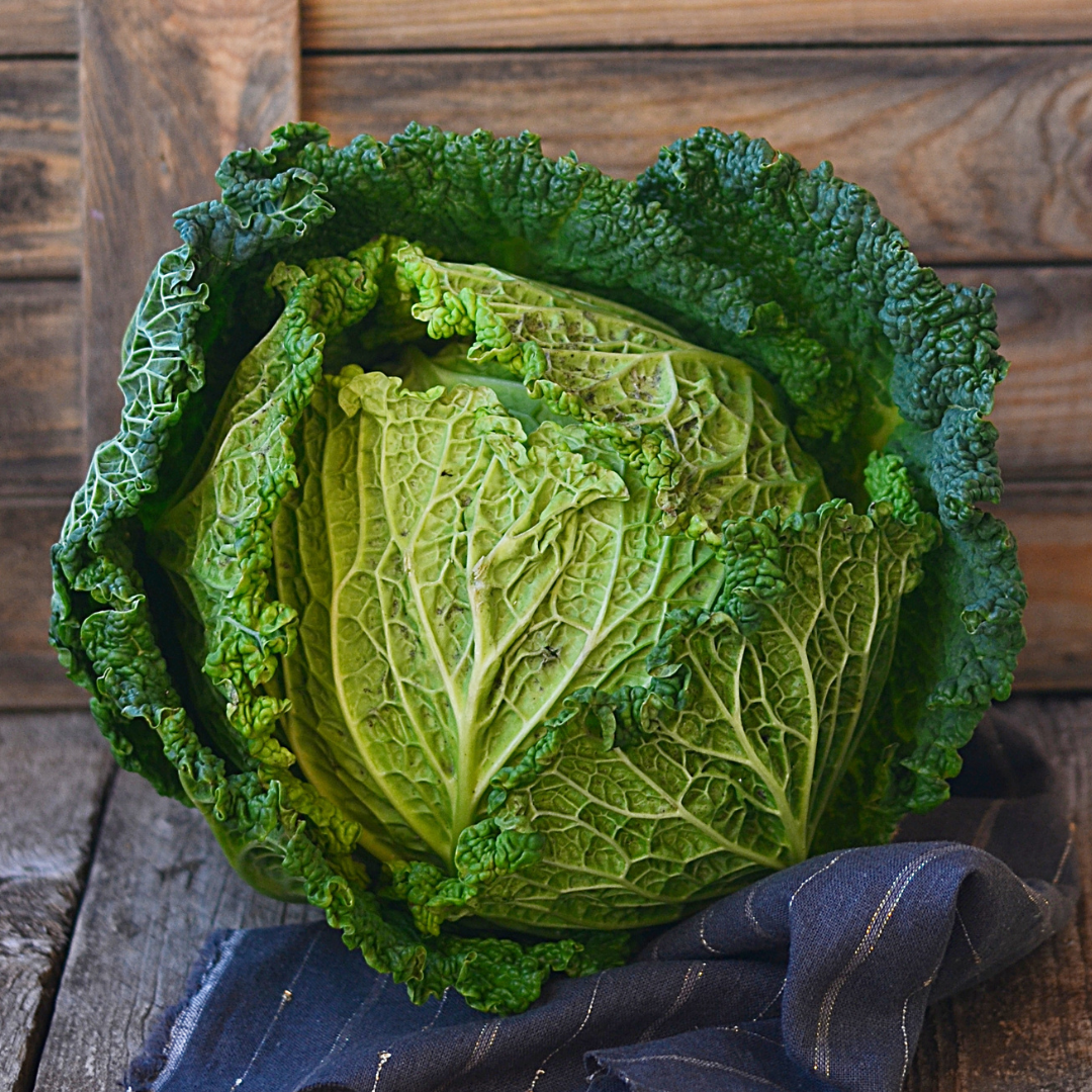 Savoykål - Vertus 2