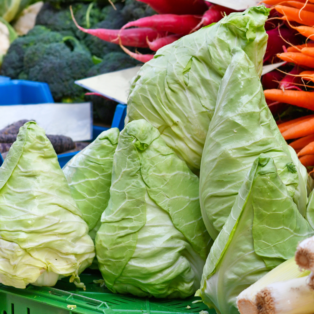 Spetskål - Jersey Wakefield