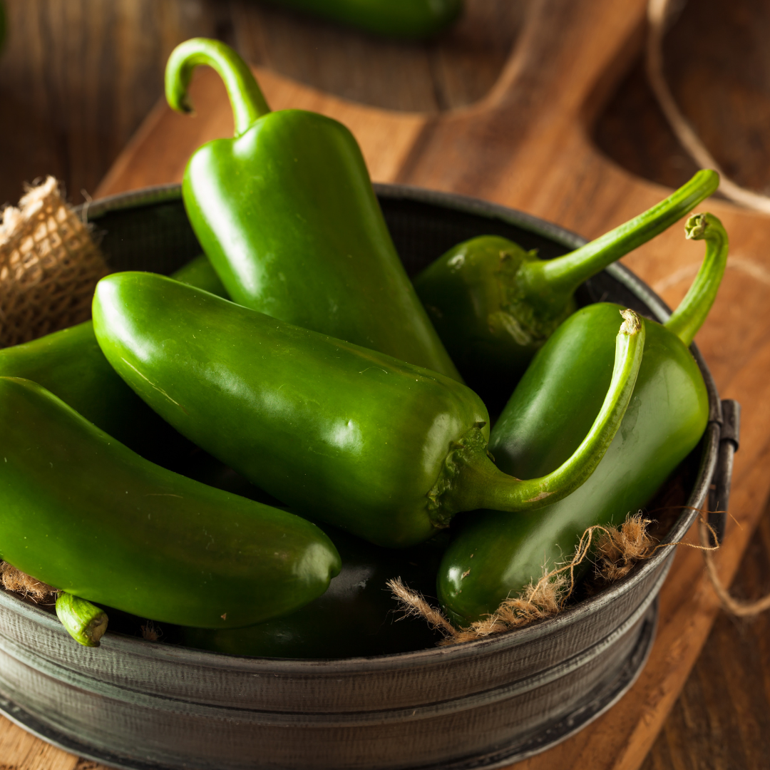 Chilipeppar - Jalapeno M - 3