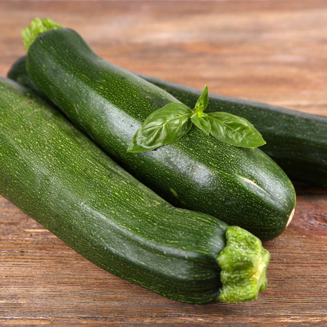 Squash - Ambassador F1