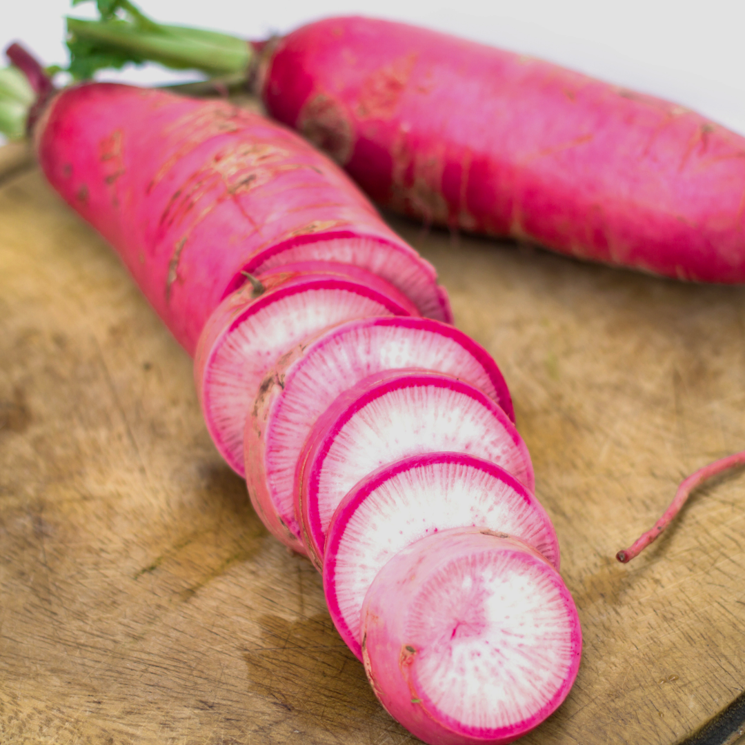 Rättika - Ostergruss Rosa 2