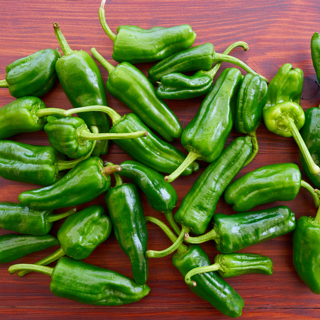 Ekologisk Chilipeppar - Padron - Tapaspeppar