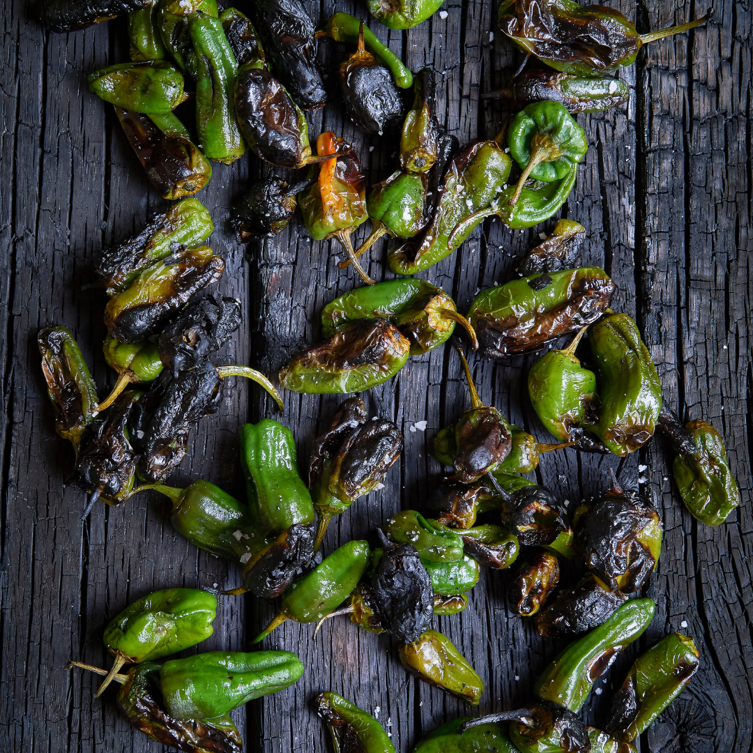 Ekologisk Chilipeppar - Padron - Tapaspeppar - 4