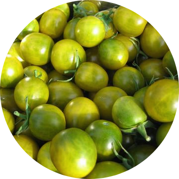 Ekologisk Körsbärsomat - Green Grape