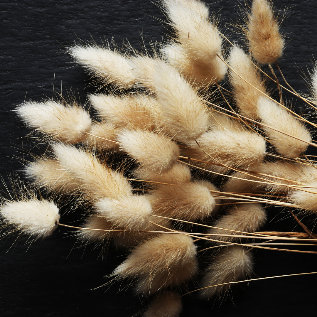 Harsvans - Bunny Tails - 5