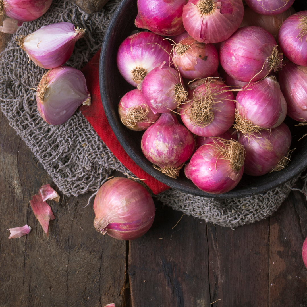 Ekologisk Rödlök - Robelja