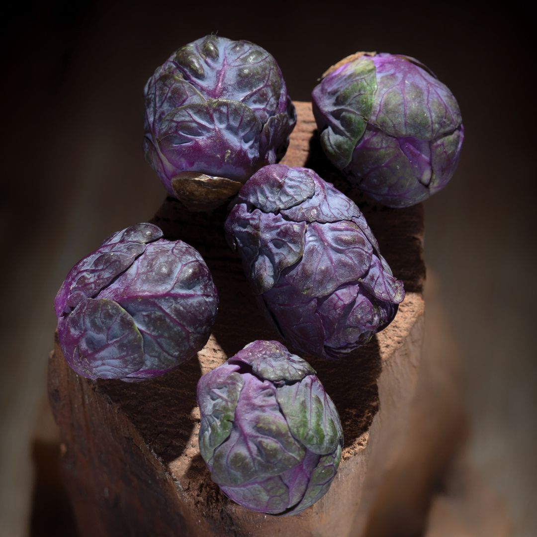 Ekologisk Brysselkål - Rubine