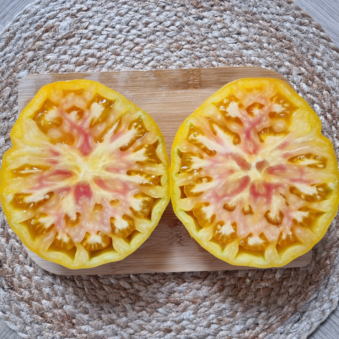 Bifftomat - German Gold - Kultursort