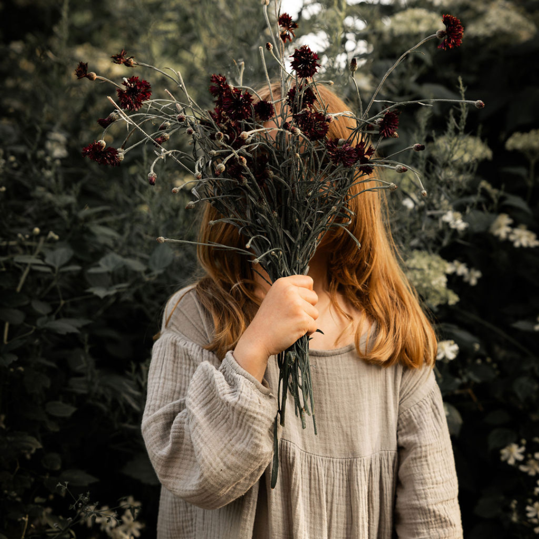 Blåklint - Black Ball