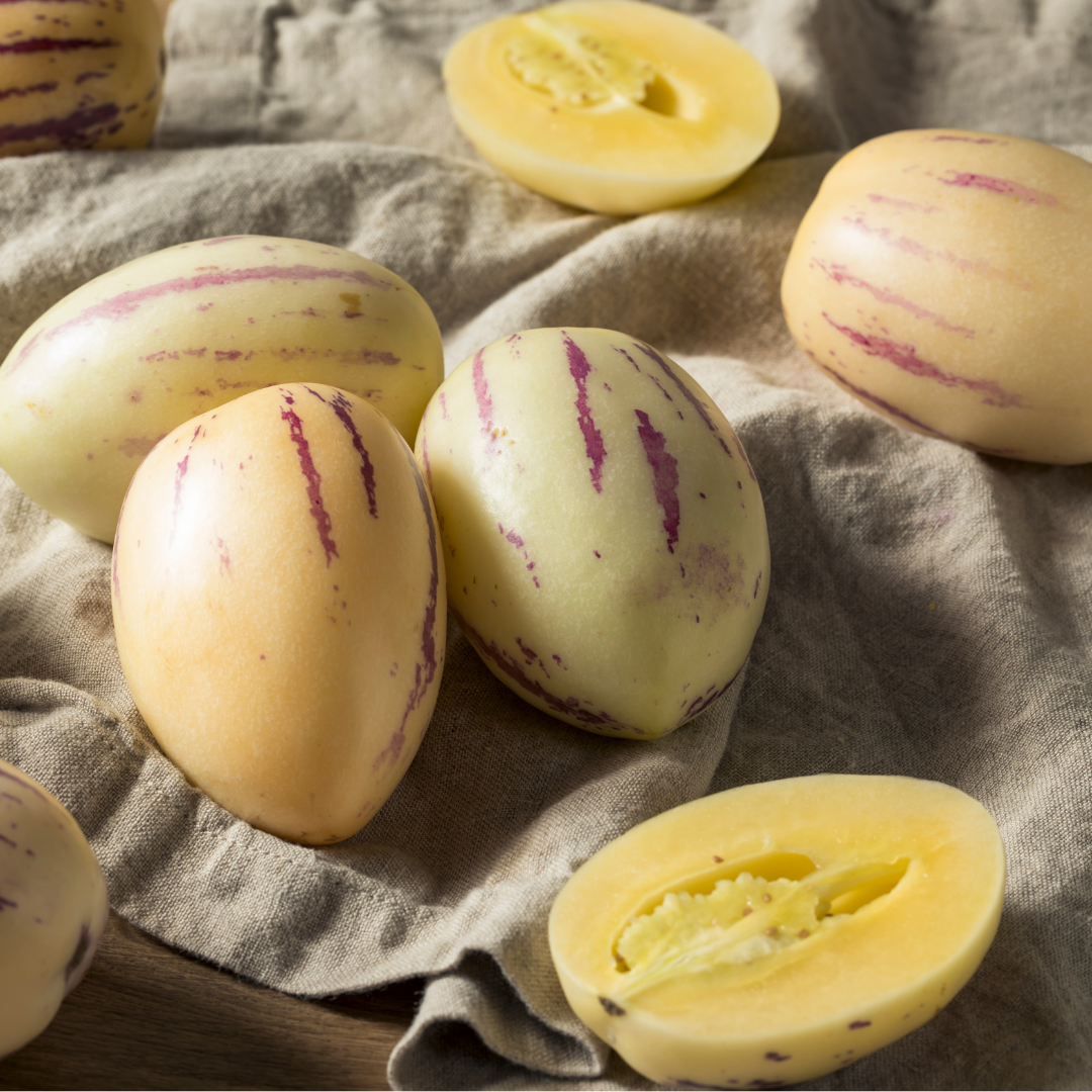 Pepino - Pepinomelon - 3