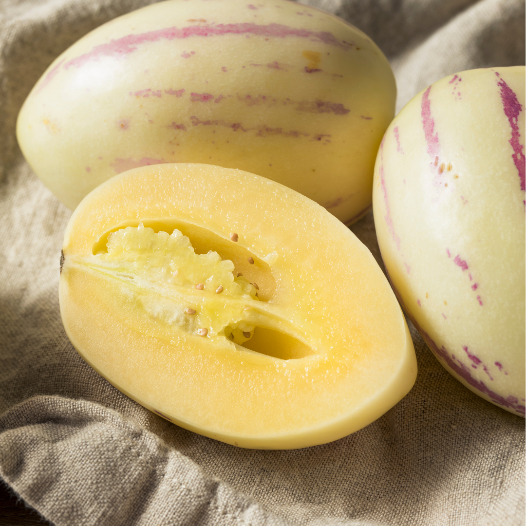 Pepino - Pepinomelon - 4