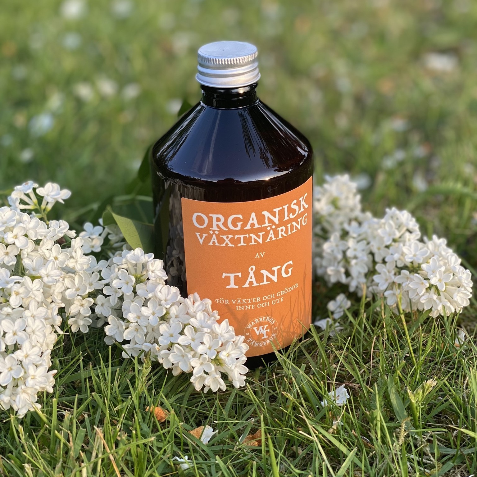 Organisk Tångnäring -  100ml växtnäring