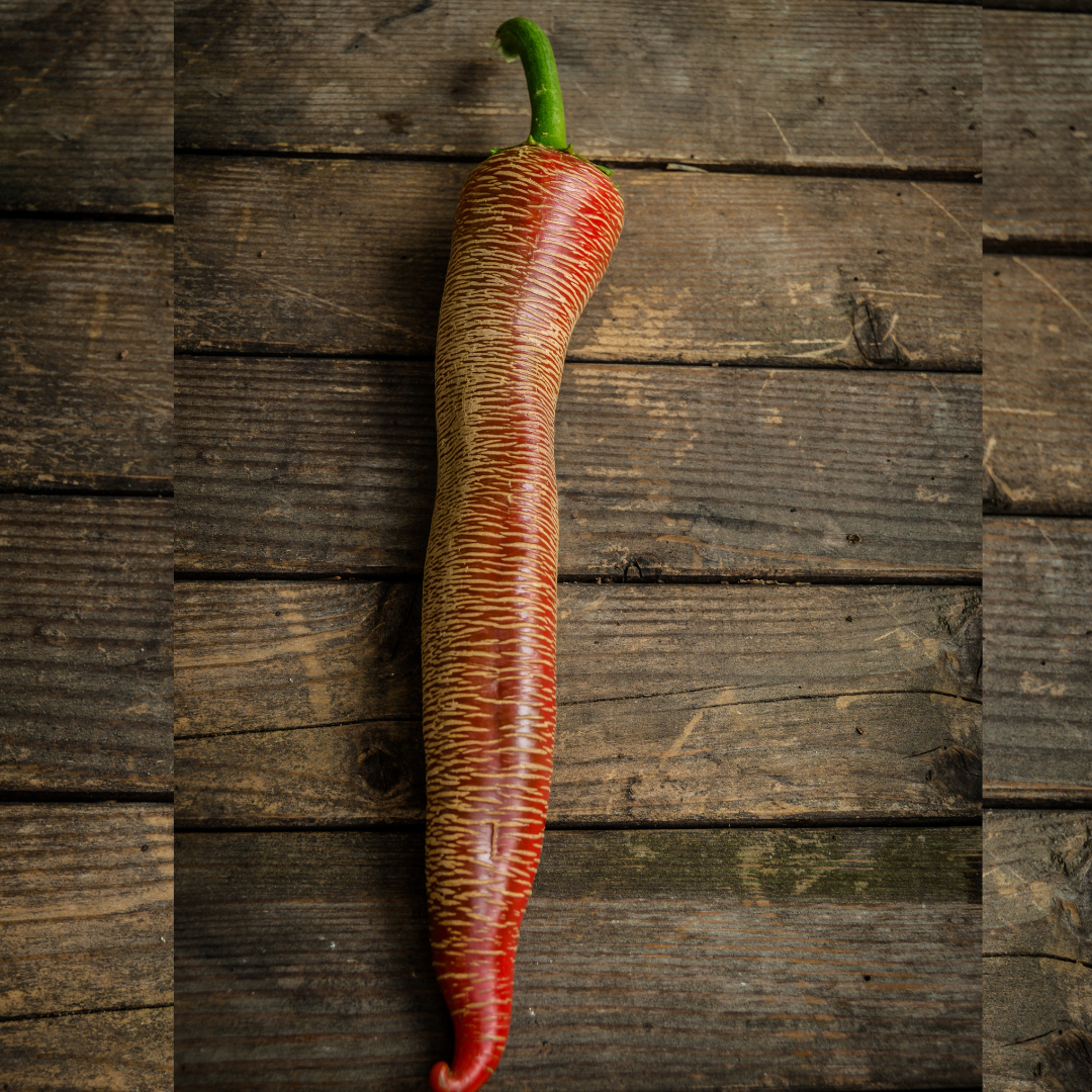 Ekologisk Chili - Elefant