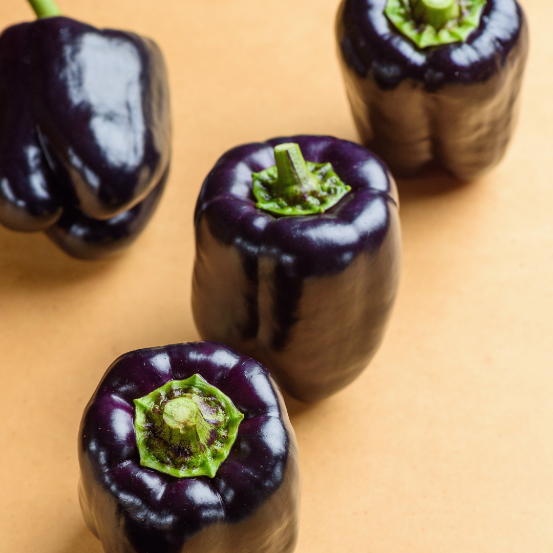 Paprika - Purple Bell