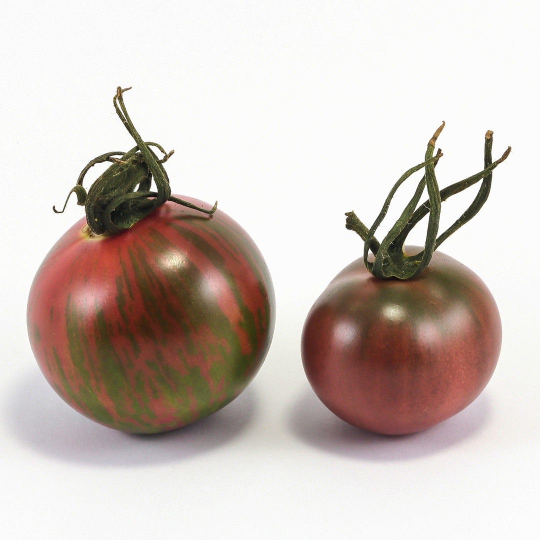 Ekologisk Salladstomat - Black Zebra