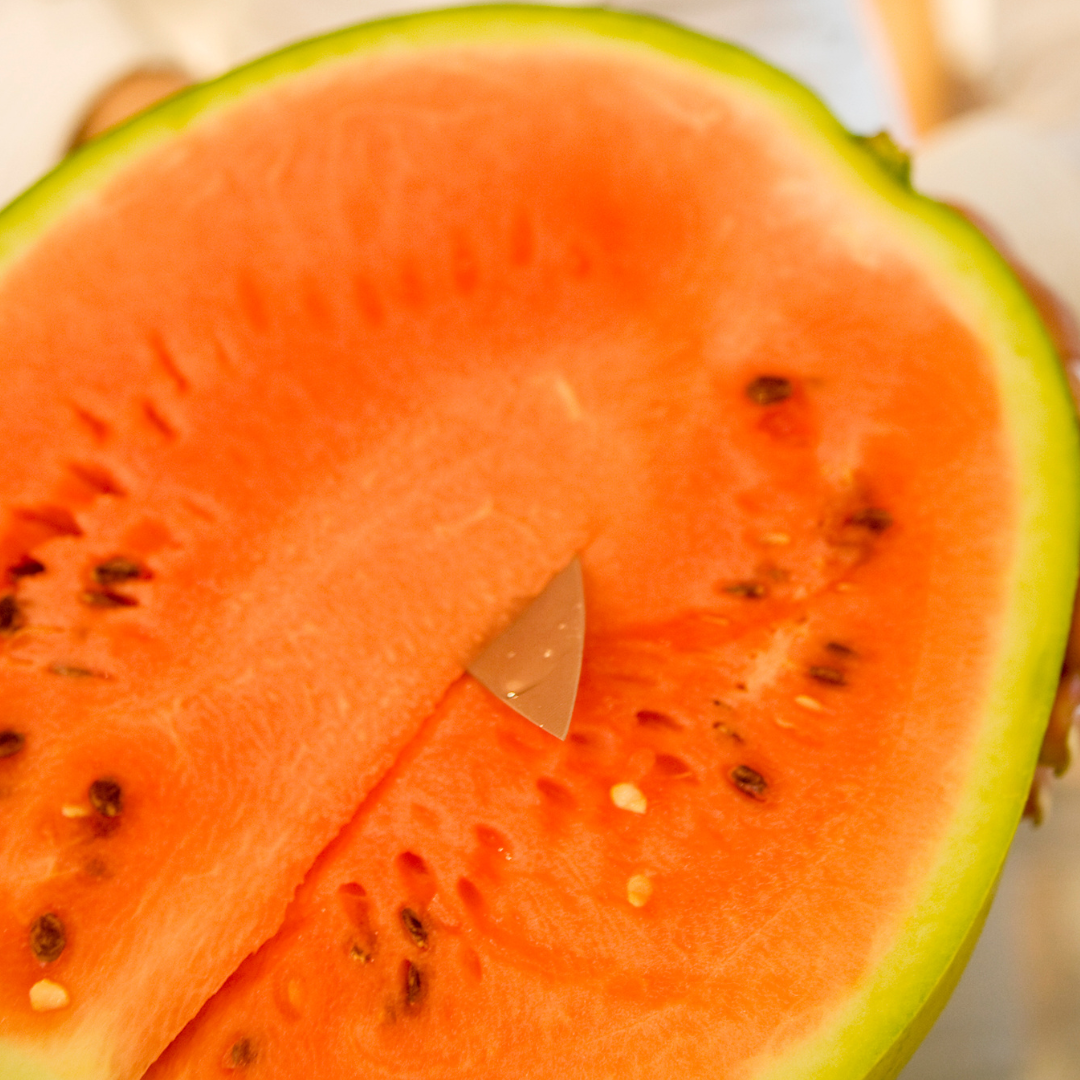 Vattenmelon - Orangeglo - Kultursort