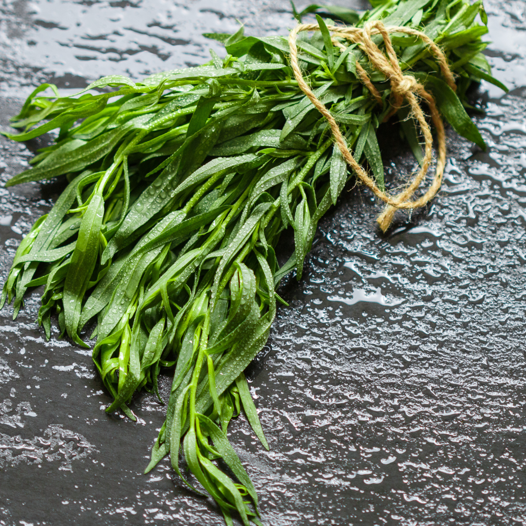 Rysk Dragon - Tarragon