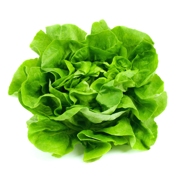 Sallat - May King - Kultursort