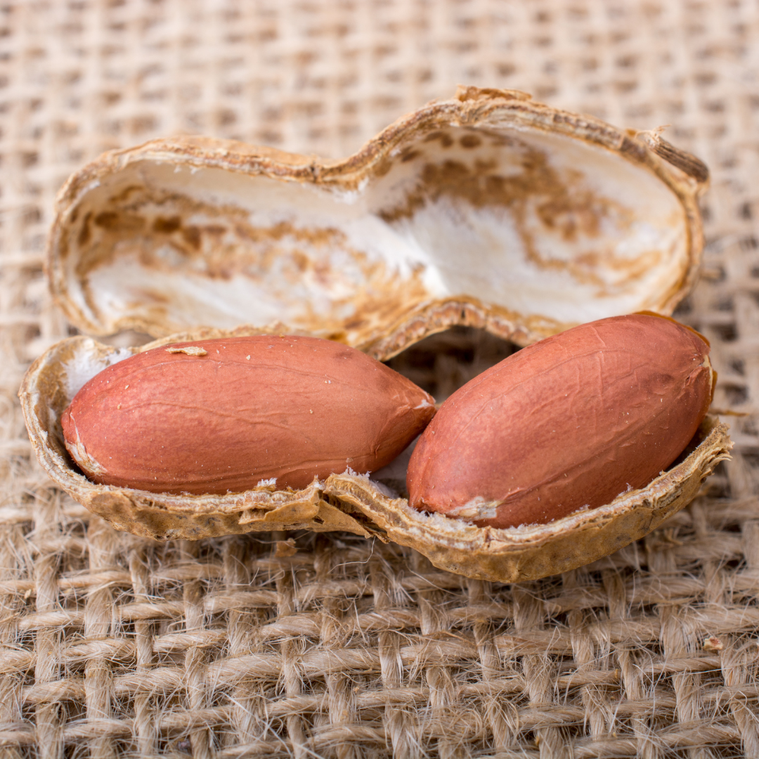 Jordnöt - Peanut - 5