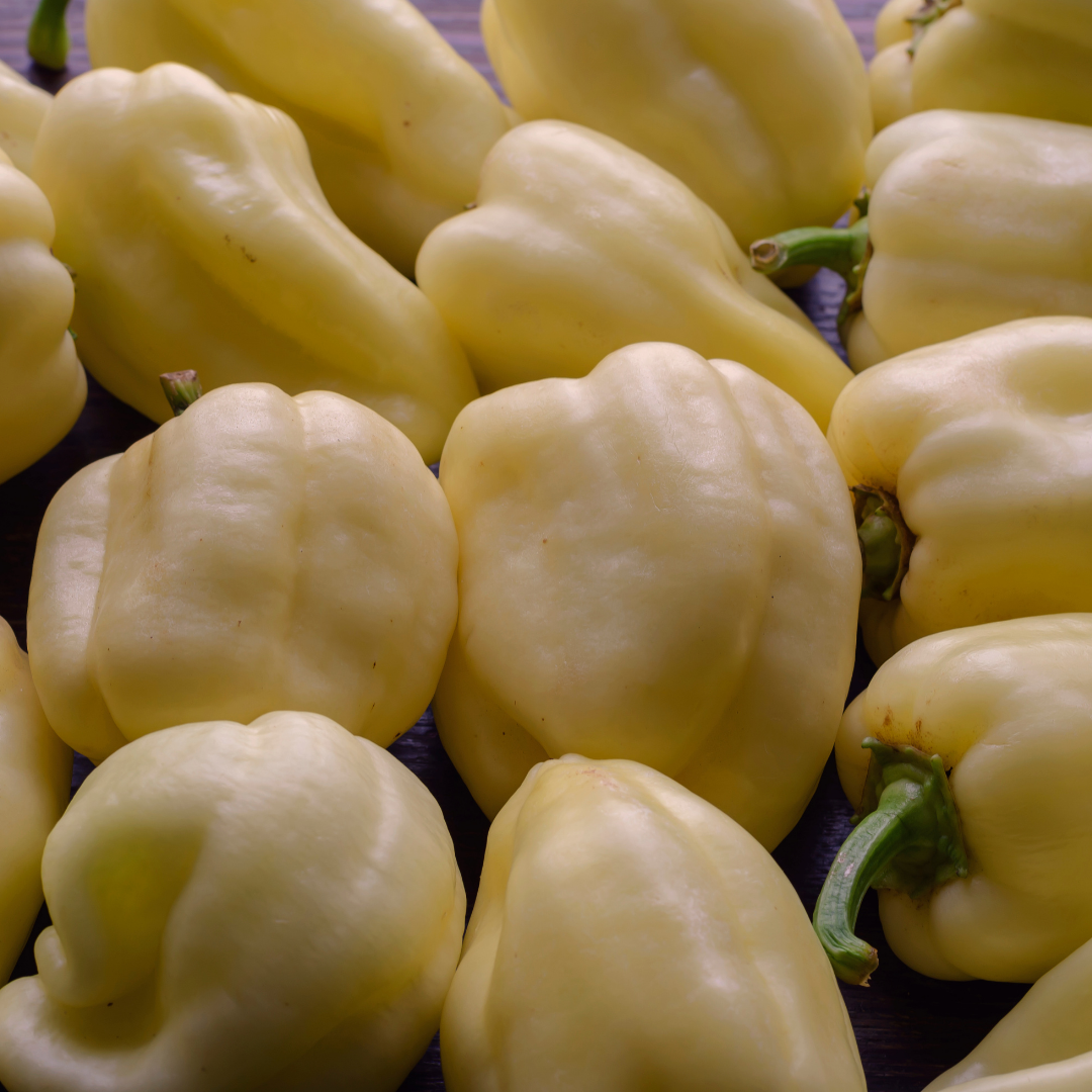 Paprika - Soroksari - Kultursort