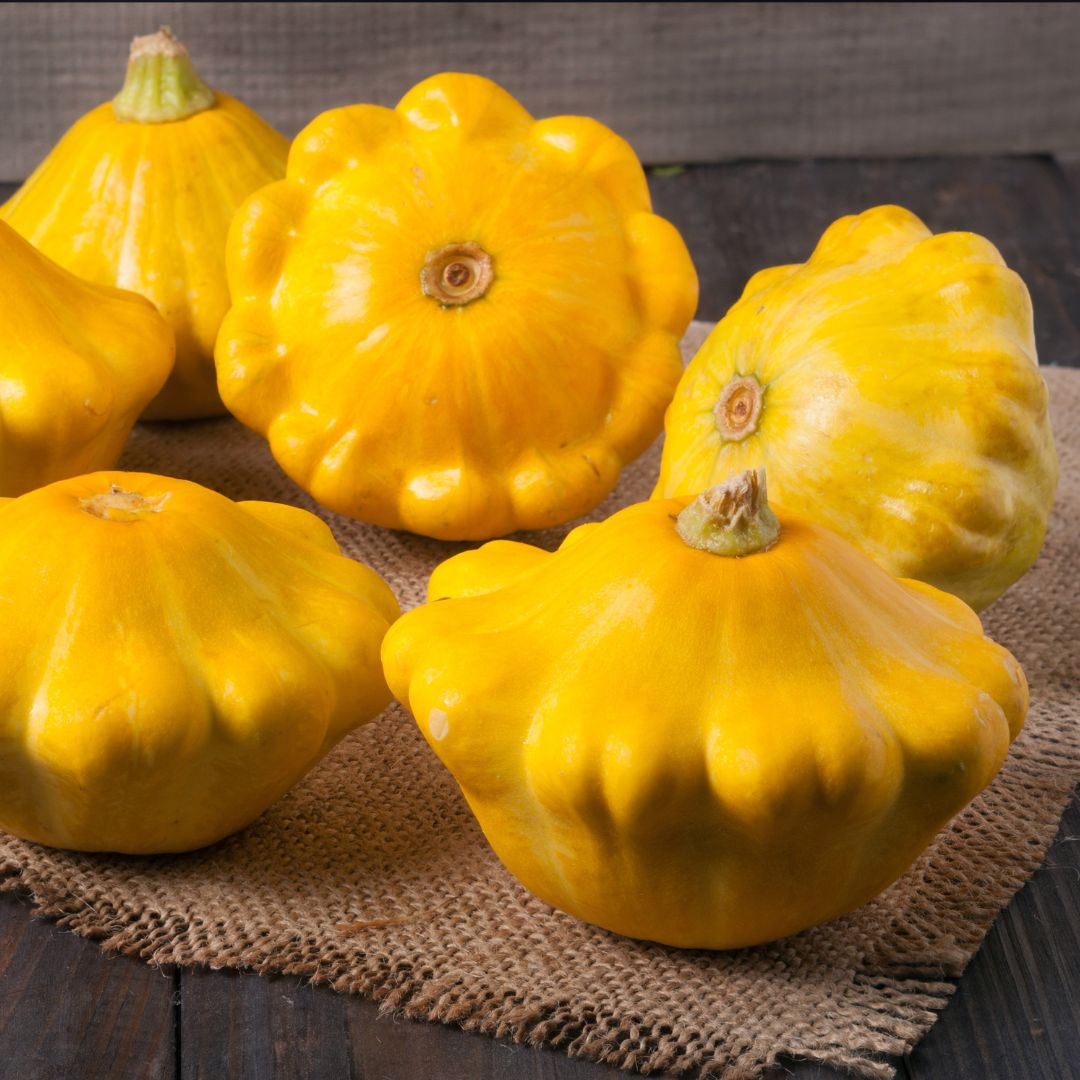 Squash - Patisson Jaune - Tefatspumpa