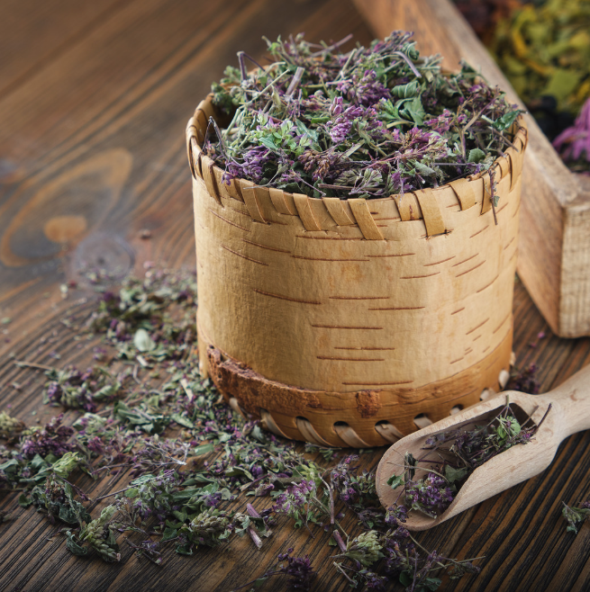 Oregano - Kungsmynta - 3