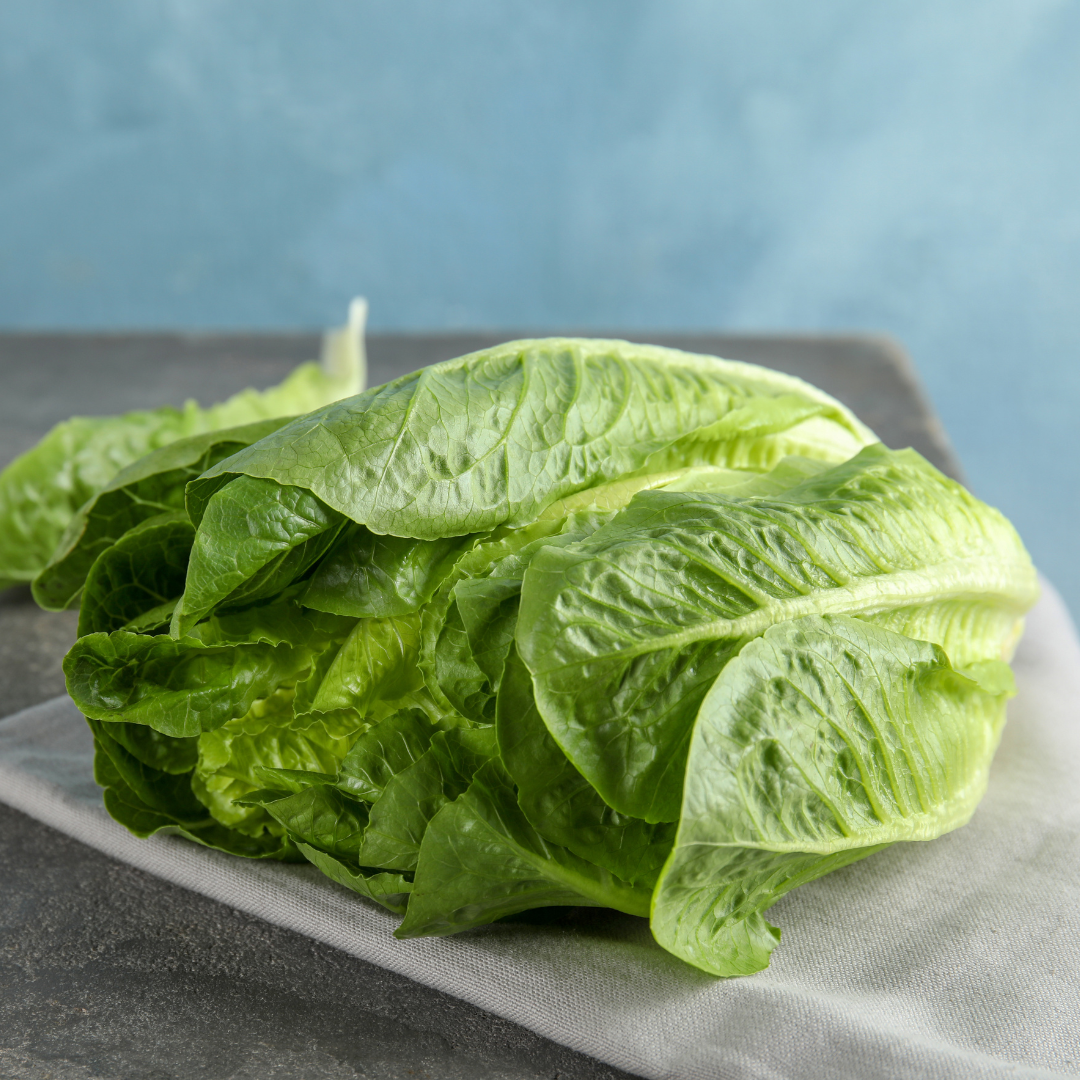 Romansallat - Paris Island Cos