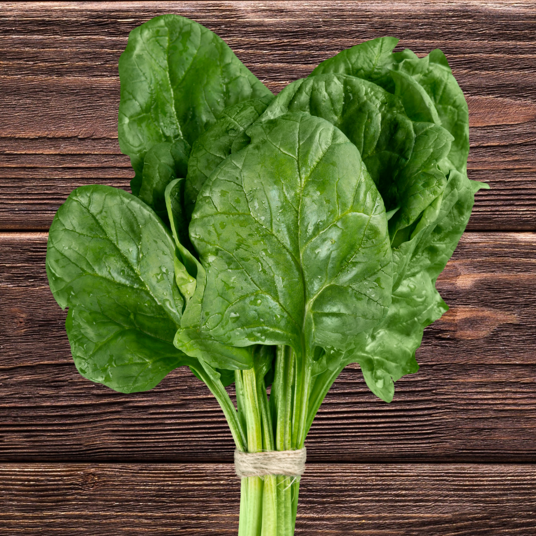 Ekologisk Spenat - America - Kultursort