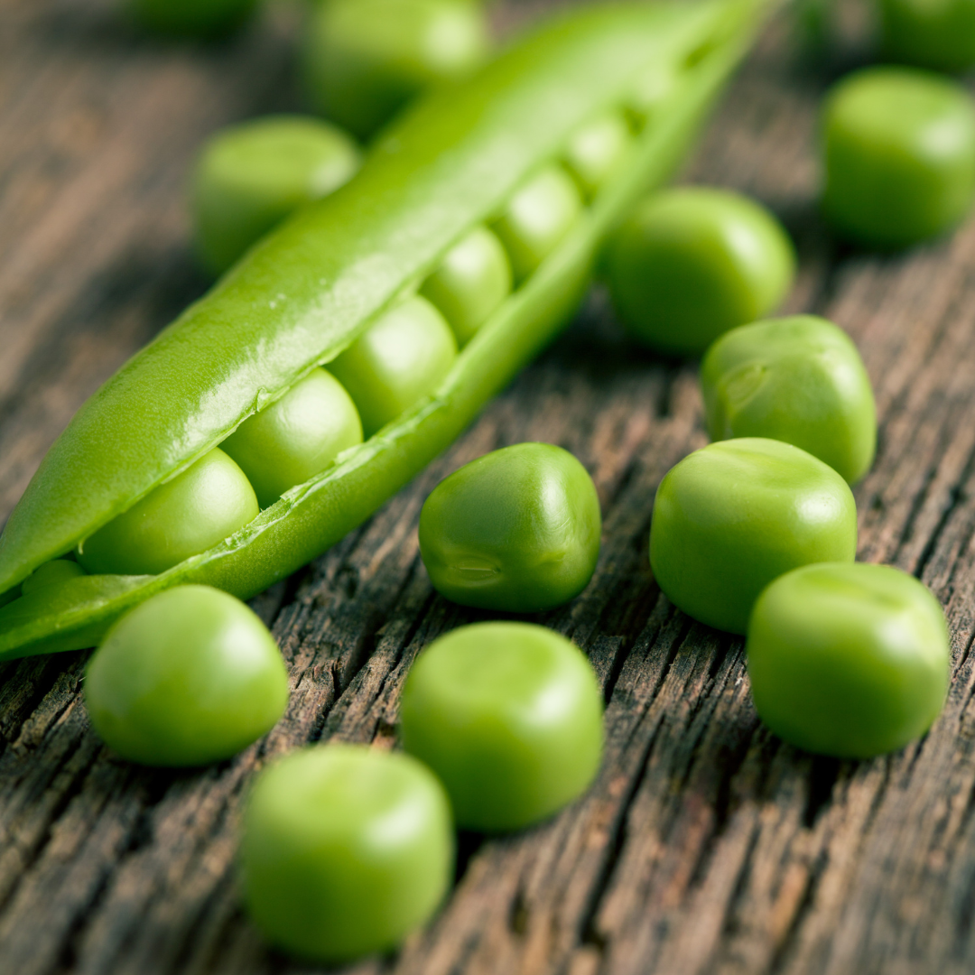 Ekologisk Märgärt - Progress No.9