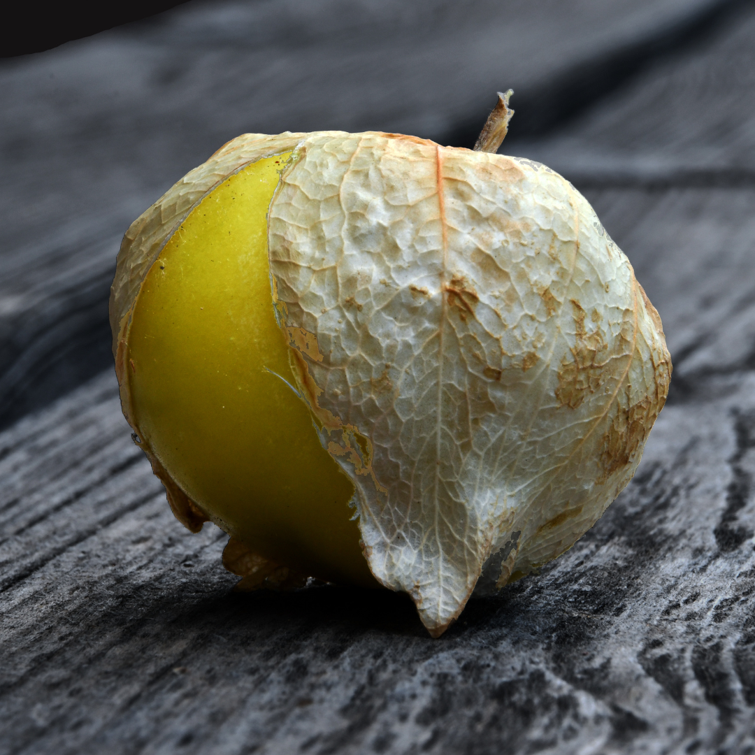Ekologisk Tomatillo - White Amarylla
