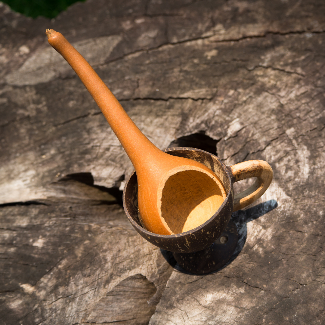 Flaskkurbits - Dipper Gourd