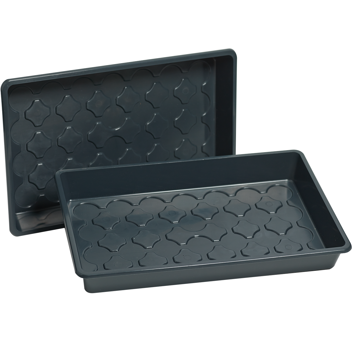 Odlingstråg - 38x24 cm - Microgreens