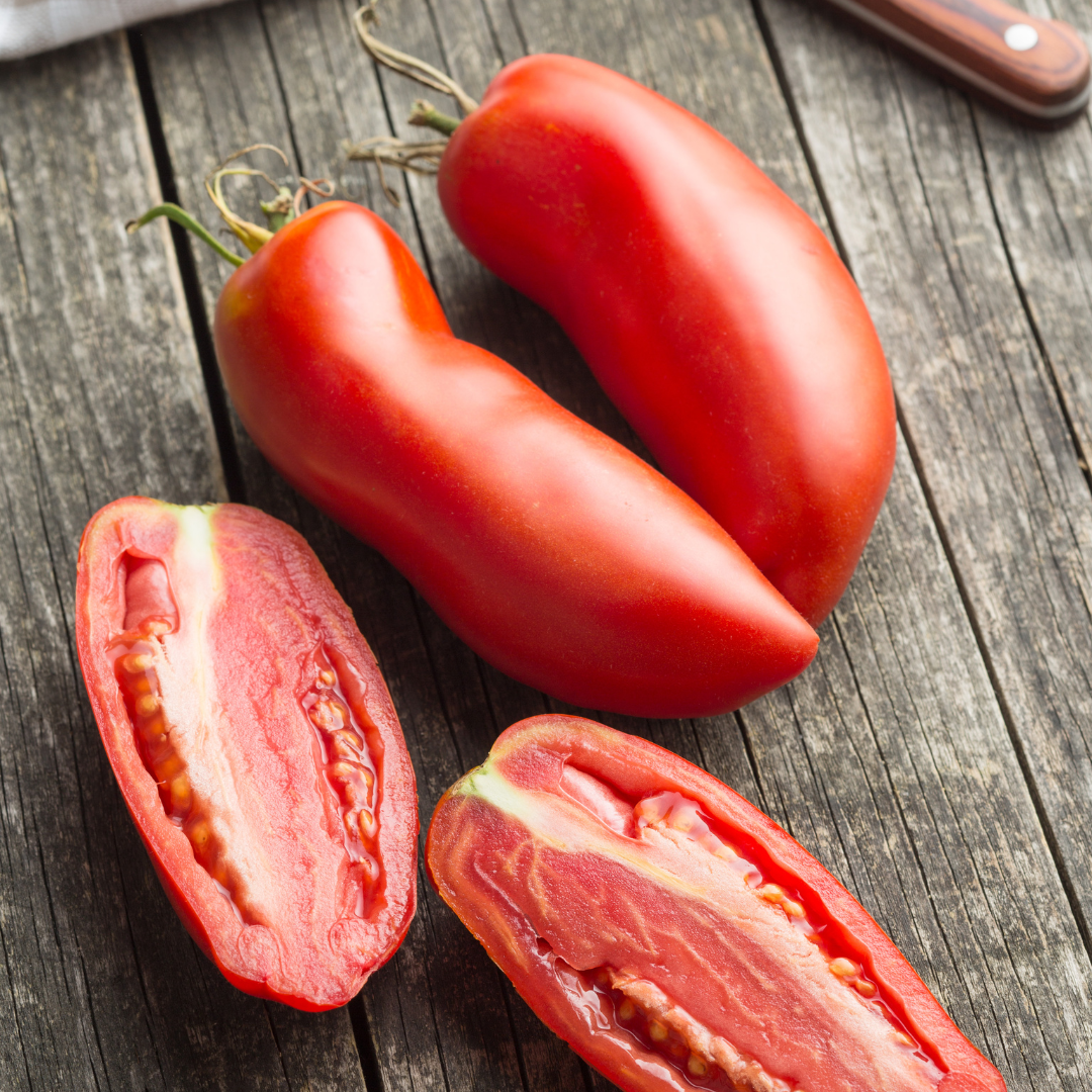 Tomat - Des Andes - Kultursort