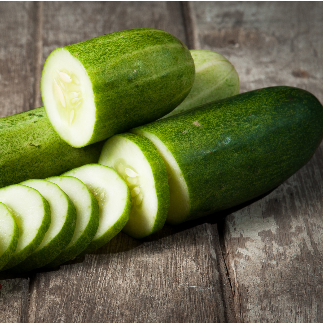Ekologisk Salladsgurka - Qualitas - Frilandsgurka