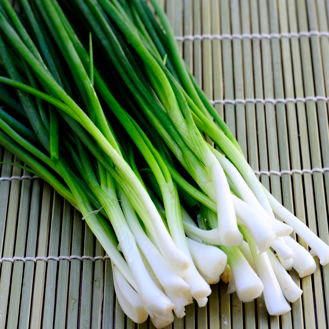 Salladslök - White Lisbon