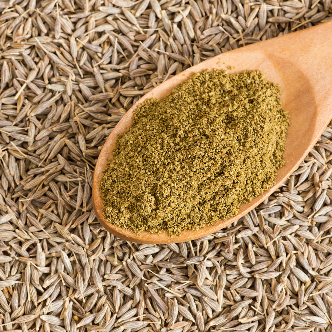 Spiskummin - Romersk Kummin
