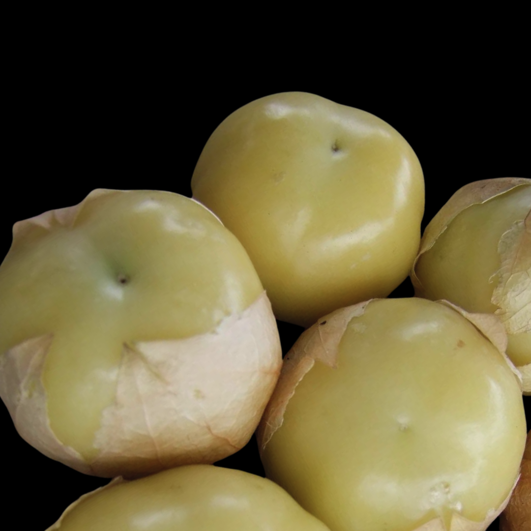 Ekologisk Tomatillo - Aurora