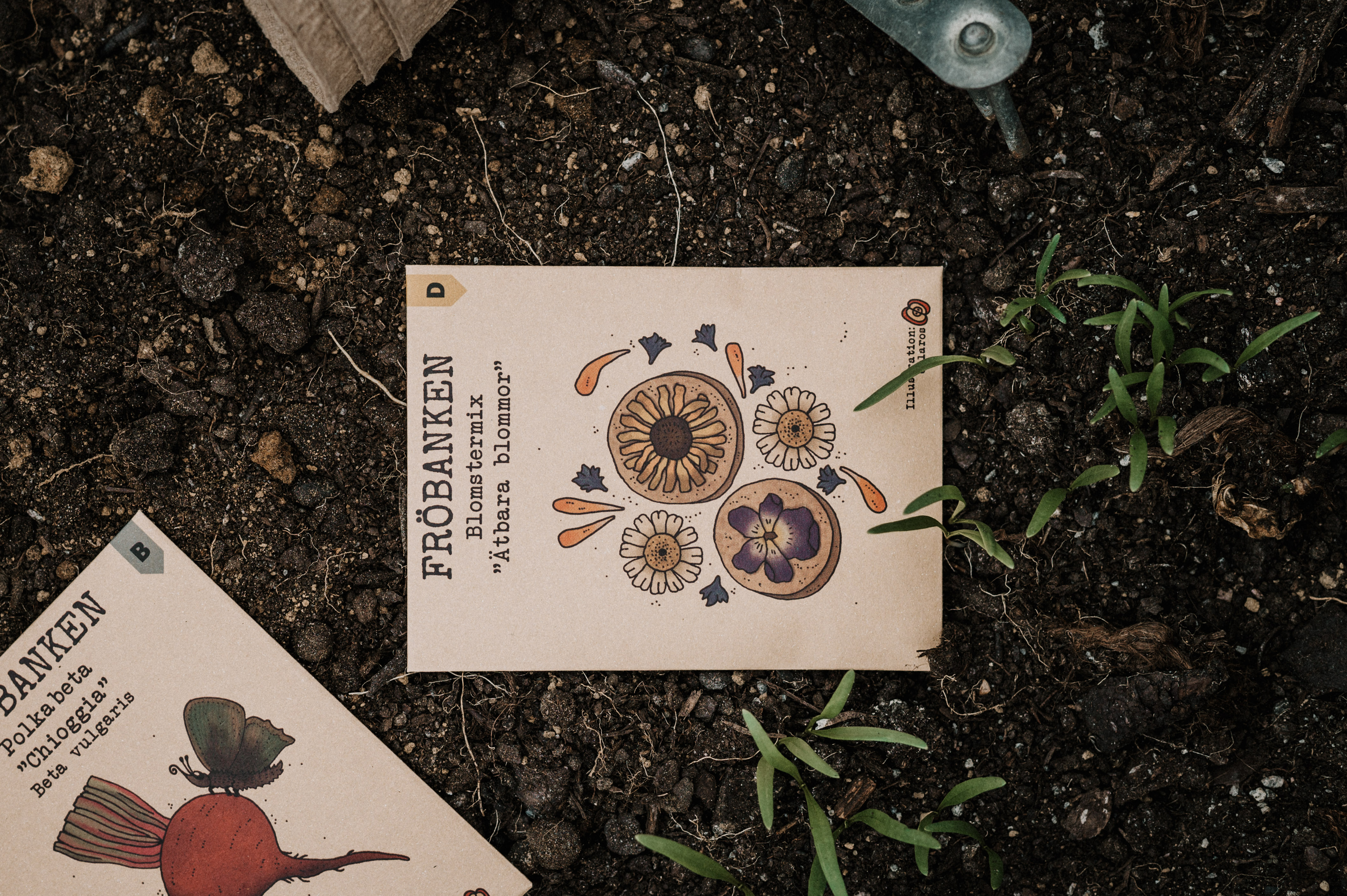 Blomstermix - Ätbara blommor