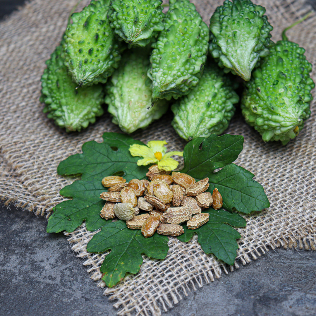 Bittergurka - Karela - Ampalaya