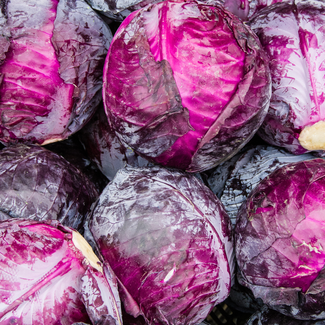 Rödkål - Red Drumhead