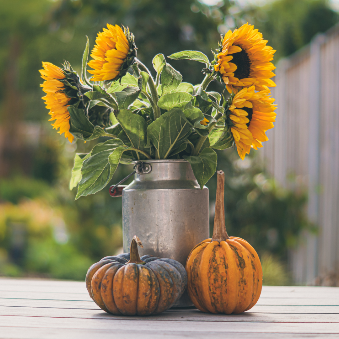 Solros - Henry Wilde