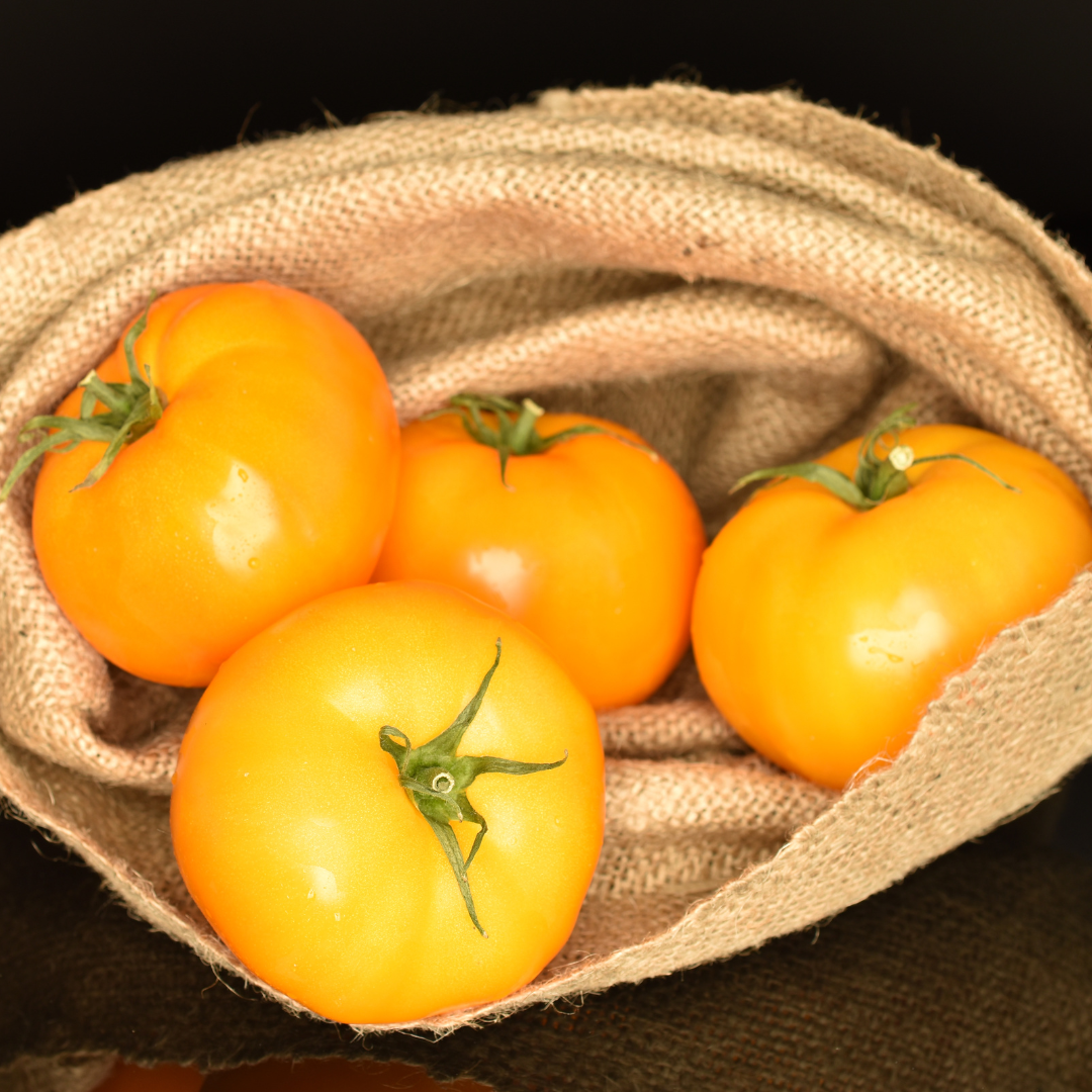 Salladstomat - Goldene Königin - Kultursort