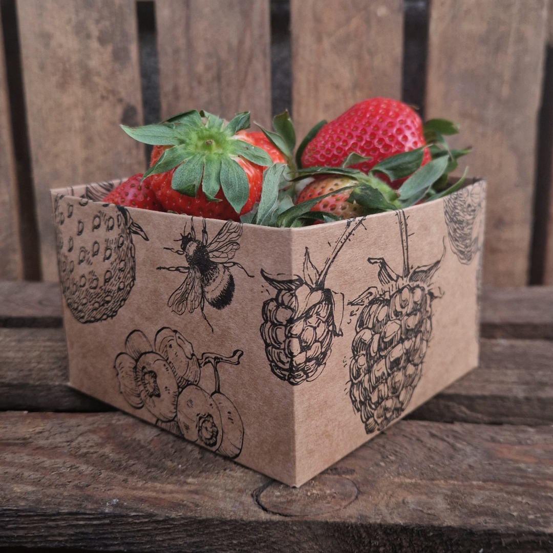 Bärask- Stor Bärnalle - Jordgubbslåda